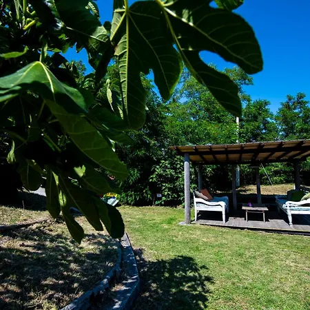 202 - Mansardata Tra Le Cinque Terre E Portofino - Cherry House Affittacamere Carro