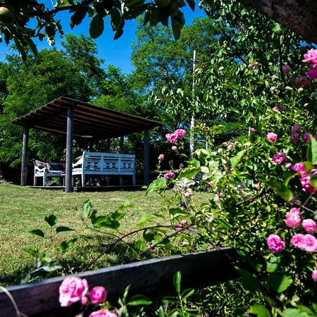 Affittacamere 202 - Mansardata Tra Le Cinque Terre E Portofino - Cherry House Carro